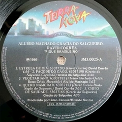 Aluísio Machado, David Correa, Gracia Do Salgueiro ‎– Pique Brasileiro - Promo Only Djs