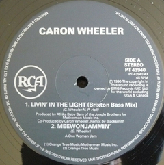 Caron Wheeler – Livin' In The Light na internet