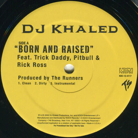 DJ Khaled – Born And Raised / Grammy Family