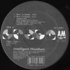 Intelligent Hoodlum – Back To Reality - comprar online