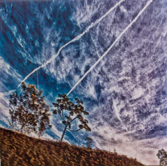 Ordem Natural – Ordem Natural