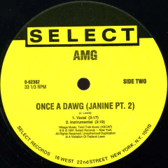 AMG ‎– Jiggable Pie - Promo Only Djs