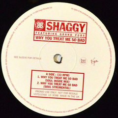 Shaggy – Why You Treat Me So Bad na internet