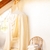 Dosel | Mosquitero - comprar online