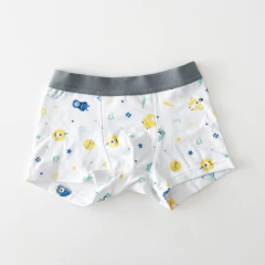 Boxer Boo! (x1) - comprar online