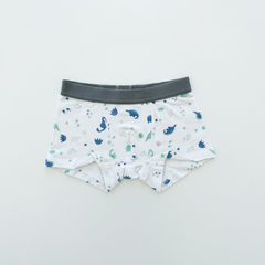 Boxer Dino MENTA (pack x3) en internet
