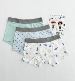 Boxer Dino MENTA (pack x3)