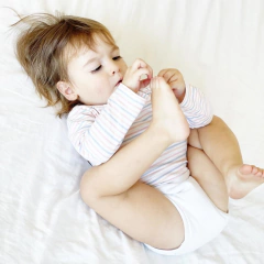 Combo Chau Pañales Libro - tienda online