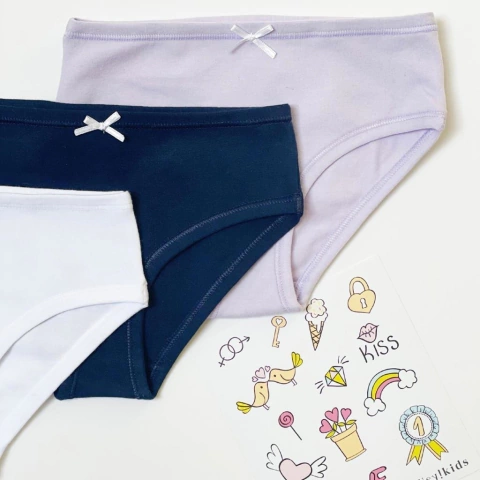 Bombacha Lisa Lavanda (pack x 3)