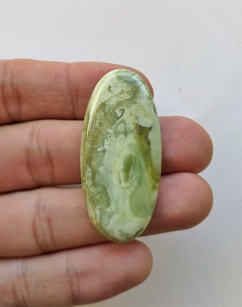 Serpentina 22