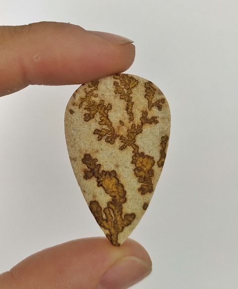 Psilomelana Dendrita 16