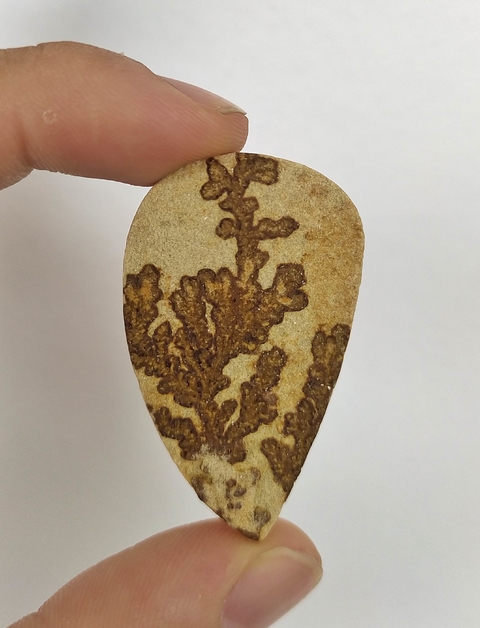 Psilomelana Dendrita 17