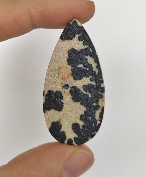 Psilomelana Dendrita 18