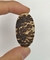 Psilomelana Dendrita 22