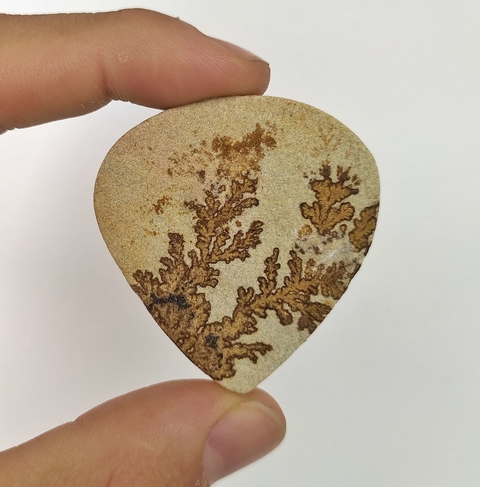 Psilomelana Dendrita 23