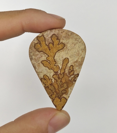 Psilomelana Dendrita 24