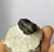 Fosil de Trilobite 02
