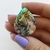 Abalone 02