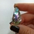 Abalone 38