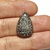 Coral Fossil Preto 22