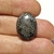 Coral Fossil Preto 23