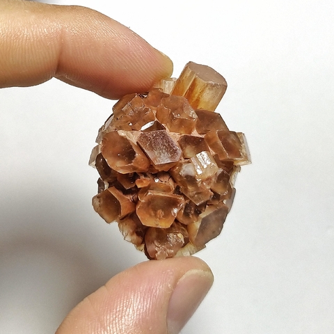 Aragonita Sputnik 07