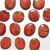 Spondylus oval 12mm