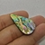 Abalone 47