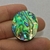 Abalone 49
