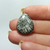 Coral Fossil Preto 33