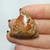 Jaspe Leopardita 01