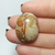 Jaspe Leopardita 02