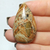 Jaspe Leopardita 04