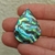 Abalone 64
