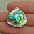 Abalone 65