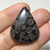 Coral Fossil Preto 36