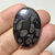 Coral Fossil Preto 37