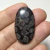 Coral Fossil Preto 38