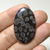 Coral Fossil Preto 41