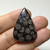 Coral Fossil Preto 43