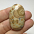 Jaspe Leopardita 11