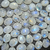 Pedra da Lua Oval 10x8mm