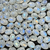 Pedra da Lua Oval 8x6mm