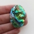Abalone 11