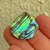 Abalone 69