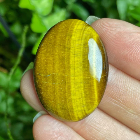 Olho de Tigre 70 - comprar online