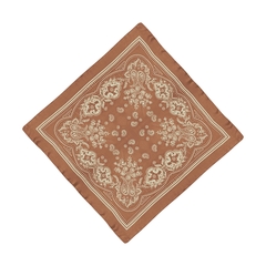 Lenço Paisley - Mocha - comprar online
