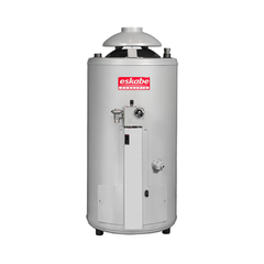TERMOTANQUE ESKABE ACQUAPIU ALTA RECUPERACION 40 L GAS DE PIE
