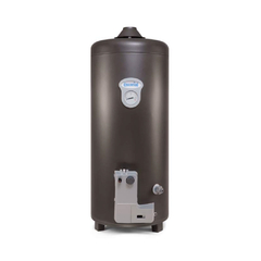 TERMOTANQUE ESCORIAL 80 L GAS DE PIE