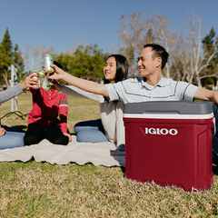 CONSERVADORA IGLOO LATITUDE 30QT 28L - Casa Zeila